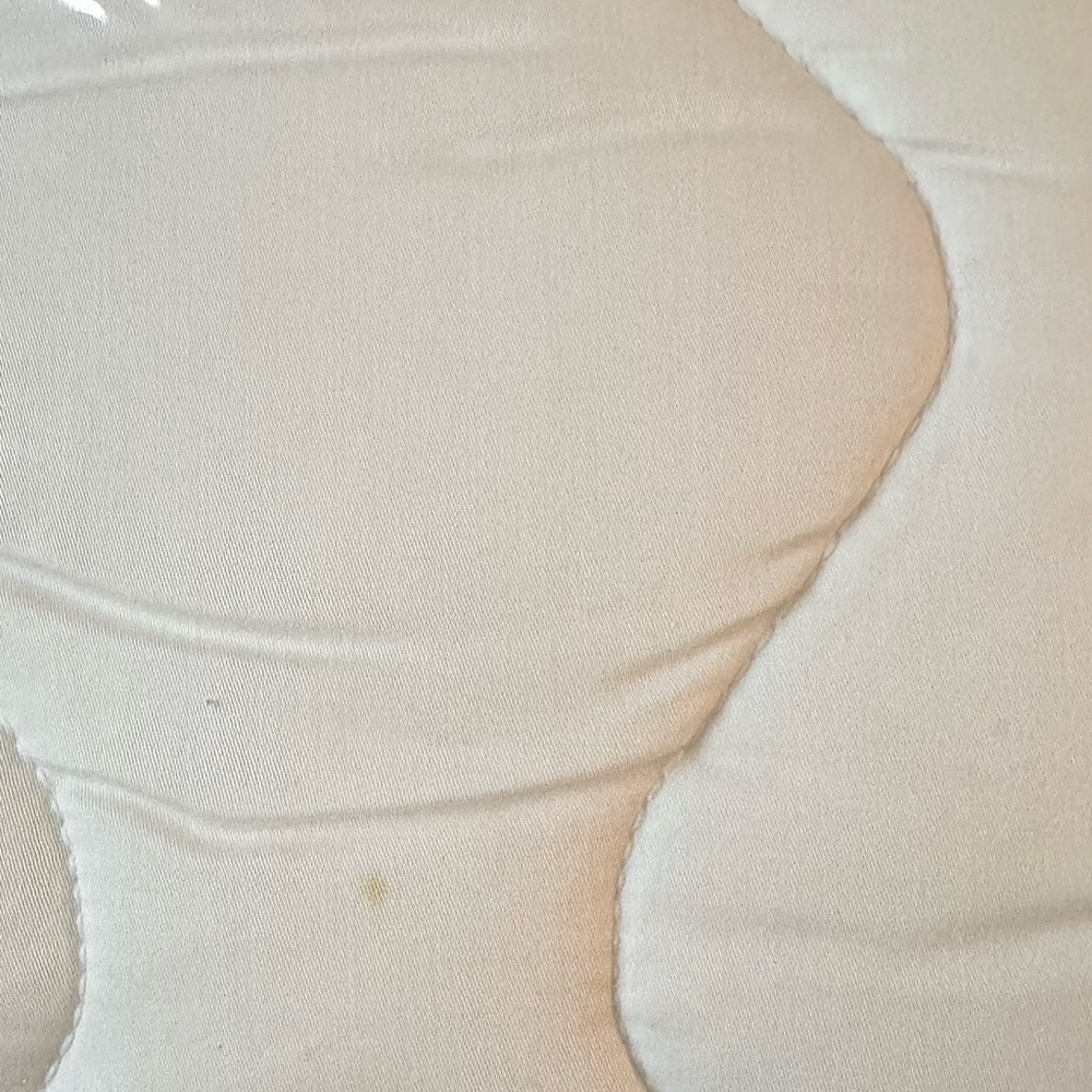 Beautyrest Mattress Pad- White - Picture 4 of 5